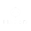 Maxad logo markedsføring på minus budget